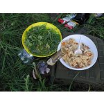 ������� ����������� ����������� ������� ���� ������ ������ ���� | ����