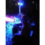 ������� ����������� ����������� ������� ���� ������ ������ ���� | ����