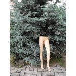 ������� �� ������ ���������� ����� | ����