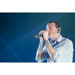  ����������: Prosto ������� | ����
