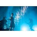 Garbage � 300 ���������� | ����