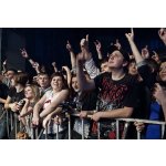 ����: �������� ������� [Amatory] � ����������������� | ����