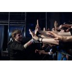����: �������� ������� [Amatory] � ����������������� | ����