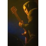�������� ���� c ���������� ���������� ��������� ����. 1986-2011� | ����