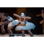 ������FEST-2013. �����, ����, �������� ����� | ����
