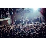 O.Torvald �������  � ��� ��������� ���������� rock����