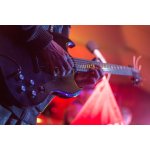 ���������� ������� ��������� ������ ��볻 | ����