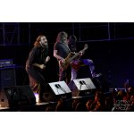 �������� ������� Orphaned Land, 7 �������, ���� Bingo | ����