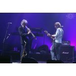 The Dire Straits Experience � �������� ������ ������ | ����