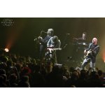 The Dire Straits Experience � �������� ������ ������ | ����