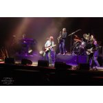 The Dire Straits Experience � �������� ������ ������ | ����