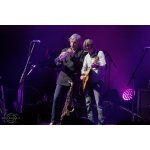 The Dire Straits Experience � �������� ������ ������ | ����