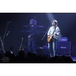 The Dire Straits Experience � �������� ������ ������ | ����