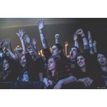 ������� Architects � �����: �All our gods have abandoned us� | ����