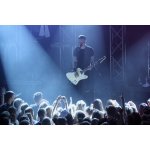 �������� ������� �. Torvald ��� ������ ������� | ����