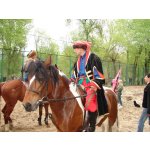 &laquo;���-ѳ� 2006&raquo; - �� �� ���� | ����
