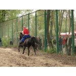 &laquo;���-ѳ� 2006&raquo; - �� �� ���� | ����