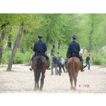 &laquo;���-ѳ� 2006&raquo; - �� �� ���� | ����