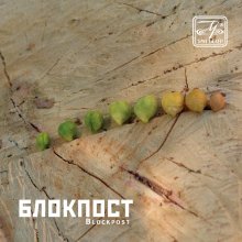 ��������� �����: ���������