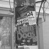 Rain Dogs � ������: ������ Z� �� �������� ������������ ������