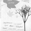 �Last Day Of Autumn� - � �Sky Hall�