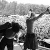 ��������� ��������� �� �������� ����� Sziget