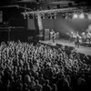 ����: Guano Apes � �����������