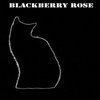 Blackberry Rose ����������� ����� ������� ���