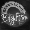³������� Blues club Big Fish ��� ������� ��� - �������� ��������!