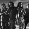Korn � Soulfly � �����: ��������, ������ ���� ����� � ���������� ��������� �����