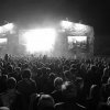 Zaxidfest 2017 � ����������, �������� �� ����