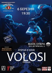 �������� 2013 / ��� / Volosi