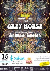 �������� 2013 / ��� / Grey mouse