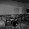 Bulldog Sound