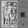 Good-bye my revolution