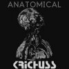 Anatomical