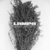 Wormwood