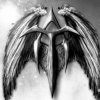 Angelus Tenebris Orchestra