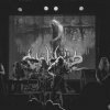 Colotyphus