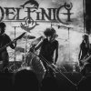 Delfinia