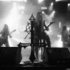Elderblood