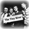 Tiny River