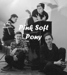 Pink Soft Pony