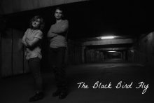 The Black Bird Fly