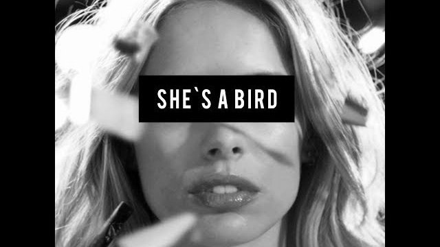 She's A Bird